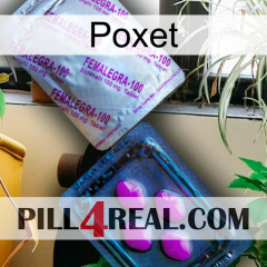 Poxet 37